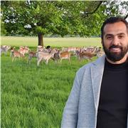 I teach math in a way that makes the student love it